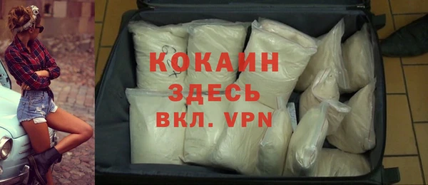 стаф Аркадак
