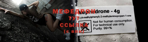стаф Аркадак