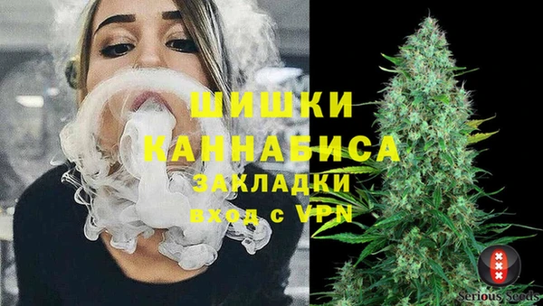 стаф Аркадак