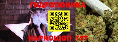 соль ск Краснознаменск