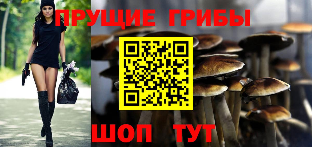 Галлюциногенные грибы GOLDEN TEACHER  Вход с VPN  Менделеевск 